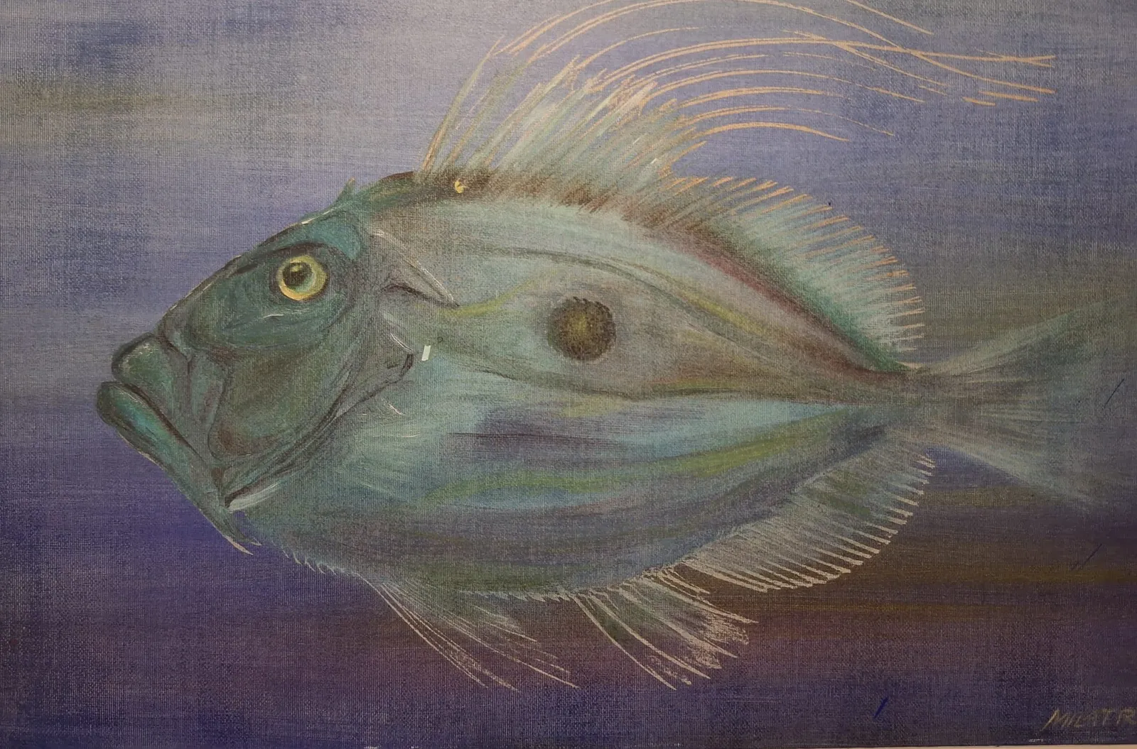 A John Dory in profile on a violet-blue ground — Rudi Milat